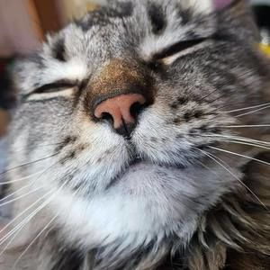 Meet your Posher, Zack